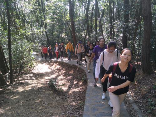 图片1.png 图片1.png