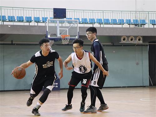 1108_8033_IMG_1239.jpg 1108_8033_IMG_1239.jpg