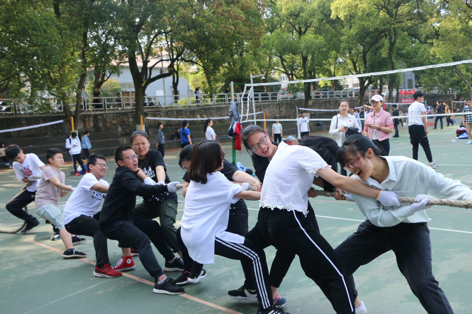 IMG_8241_副本.jpg IMG_8241_副本.jpg