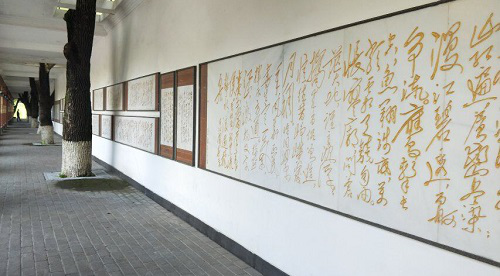 图片6.png 图片6.png